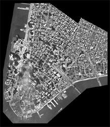 [Image - caption immediately follows]