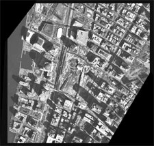 [Image - caption immediately follows]