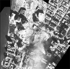 [Image - caption immediately follows]