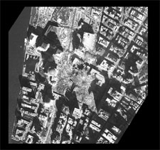 [Image - caption immediately follows]