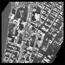 [Image - caption immediately follows]