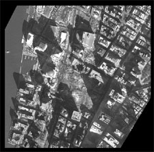 [Image - caption immediately follows]