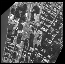 [Image - caption immediately follows]