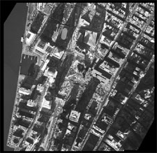 [Image - caption immediately follows]