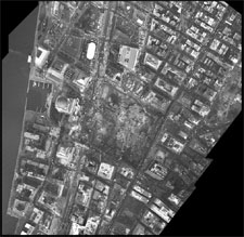 [Image - caption immediately follows]