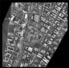 [Image - caption immediately follows]