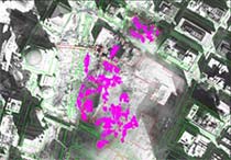 [Image - caption immediately follows]